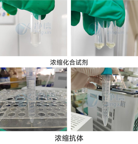 1731306829164034.jpg 775758758021.jpg